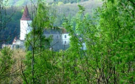 1ue7jzob7b_zerlena-stezka-krivoklat-2014_1