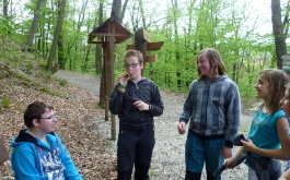 1ue7jzob7b_zerlena-stezka-krivoklat-2014_1