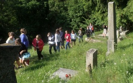 orpez63v98_rabstejn-nad-strelou-a-manetin_1