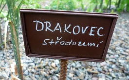 o9qgg38yb2_dejepisna-a-prirodopisna-exkurze-rakovnik-7-trida-2014_1