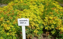 o9qgg38yb2_dejepisna-a-prirodopisna-exkurze-rakovnik-7-trida-2014_1