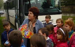 zz53lw1s1y_pila-blatno-a-rezbarka-plasy_1