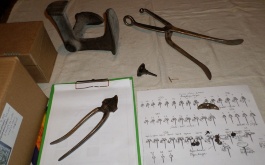 m79lze7y9x_exkurze-do-cvockarny-a-podkuvkarny-3-4-6-7-a-8-tr-tr_1
