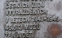 8pqcefhbpw_prevezmete-terezinskou-stafetu_1
