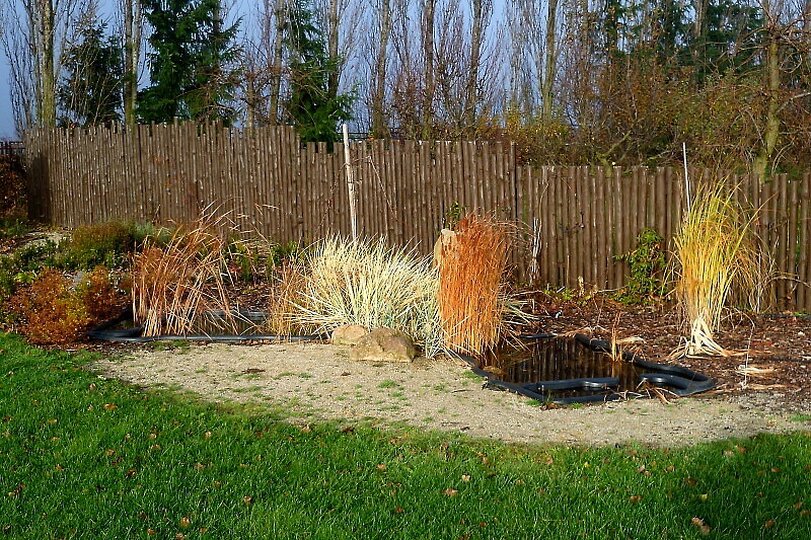 skolni-zahrada-10-11-2010_8.jpg