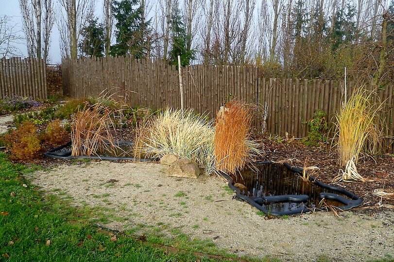 skolni-zahrada-10-11-2010_2.jpg