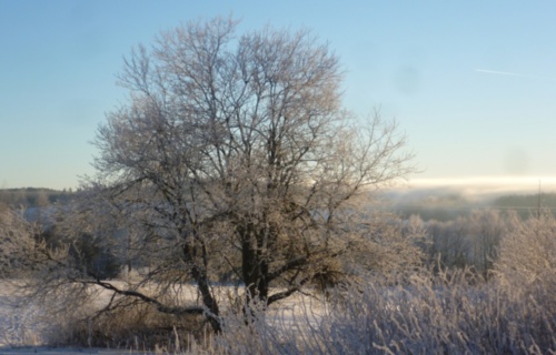 a1ipcc5er8_lyzarsky-vycvik-2015_1