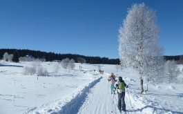 a1ipcc5er8_lyzarsky-vycvik-2015_1