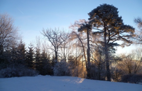 a1ipcc5er8_lyzarsky-vycvik-2015_1