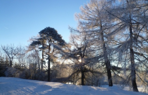 a1ipcc5er8_lyzarsky-vycvik-2015_1