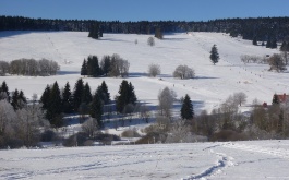 a1ipcc5er8_lyzarsky-vycvik-2015_1