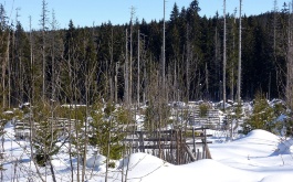a1ipcc5er8_lyzarsky-vycvik-2015_1