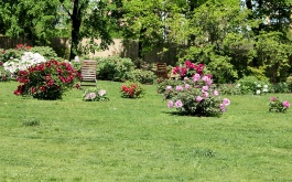 gi8fe9hjxm_exkurze-5-tr-do-botanicke-zahrady-praha_1