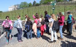 gi8fe9hjxm_exkurze-5-tr-do-botanicke-zahrady-praha_1