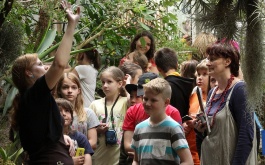gi8fe9hjxm_exkurze-5-tr-do-botanicke-zahrady-praha_1