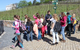gi8fe9hjxm_exkurze-5-tr-do-botanicke-zahrady-praha_1
