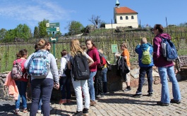 gi8fe9hjxm_exkurze-5-tr-do-botanicke-zahrady-praha_1