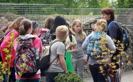 gi8fe9hjxm_exkurze-5-tr-do-botanicke-zahrady-praha_1