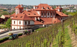 gi8fe9hjxm_exkurze-5-tr-do-botanicke-zahrady-praha_1