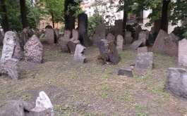3i0u9ou0xz_setkani-terezinske-stafety-v-praze_2