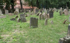 3i0u9ou0xz_setkani-terezinske-stafety-v-praze_2