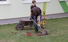 anroqvfff0_projekt-72-hodin-2015_2